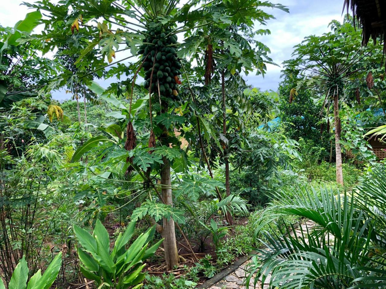 House @Bohol Garden Homes Panglao Esterno foto